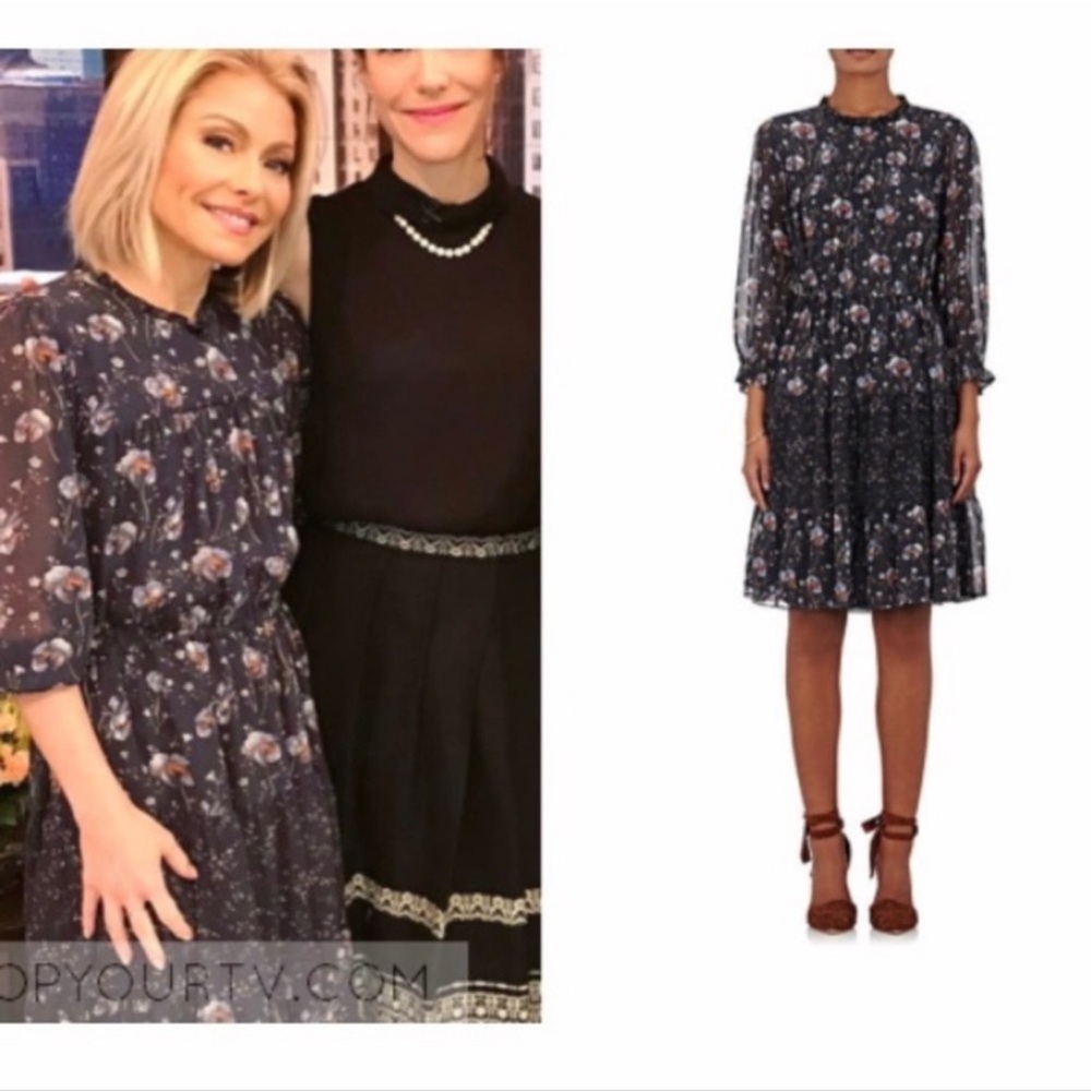 Ulla Johnson - Skye Floral Print Silk Georgette Dress - size 4 - Gorgeous - Picture 2 of 16